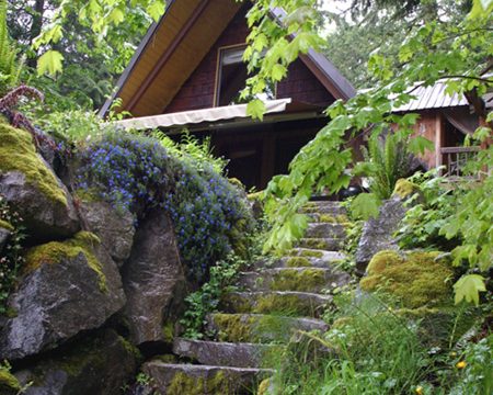 cozy romantic cabin pacific northwest